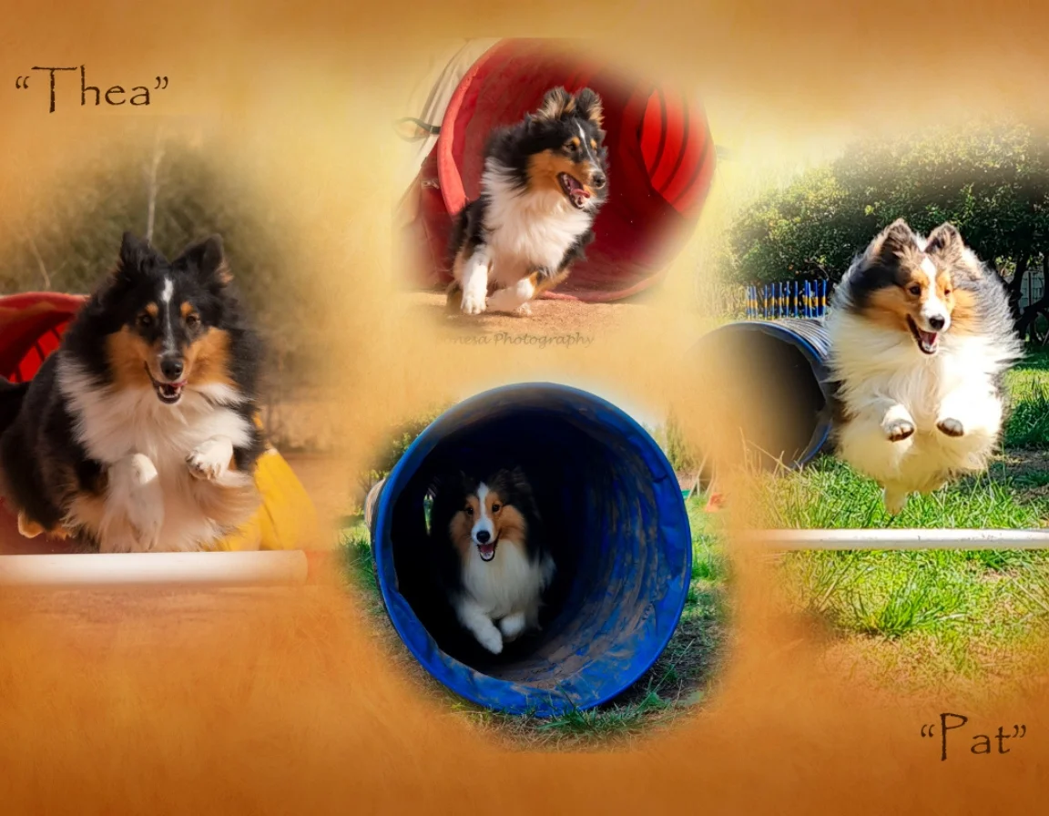 Thea collage